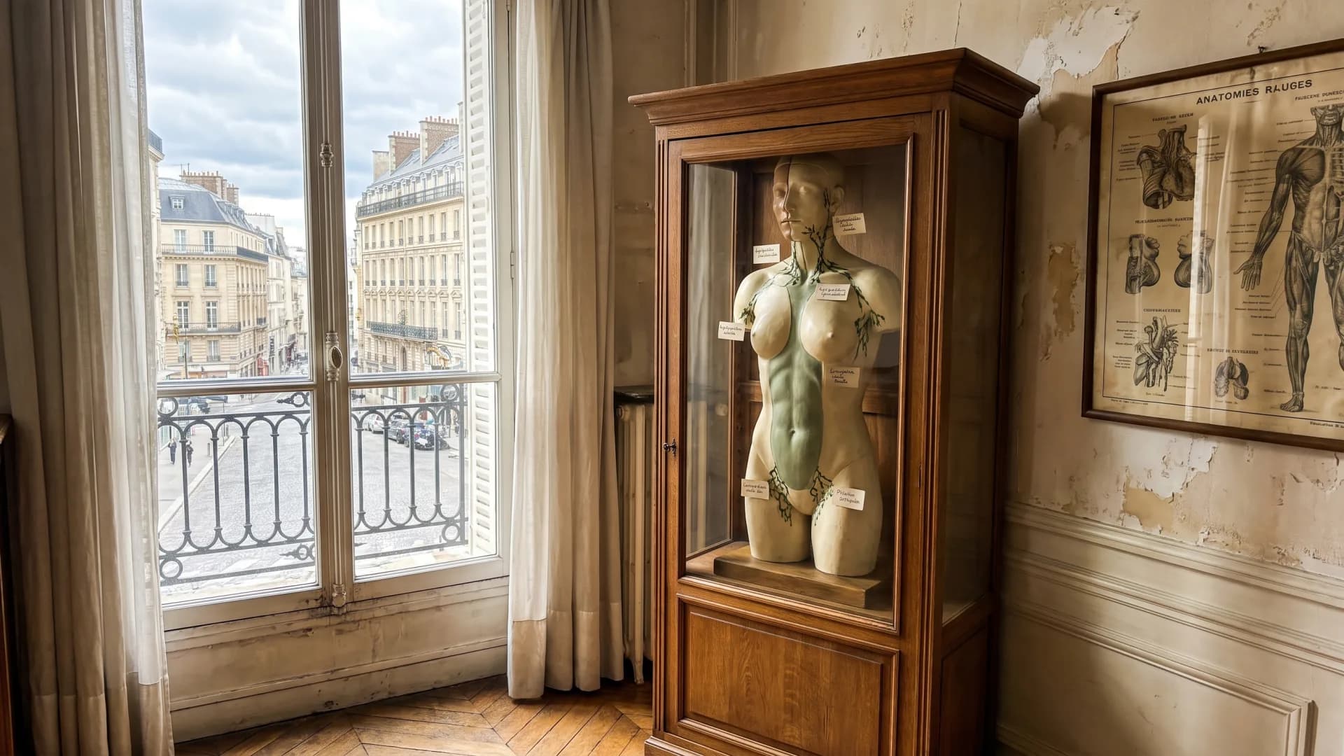 Mannequin anatomique des ganglions dans une vitrine de cabinet